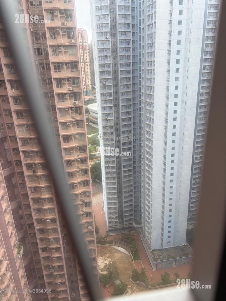 广明苑 售盘 1 房 , 1 浴室 426 平方尺