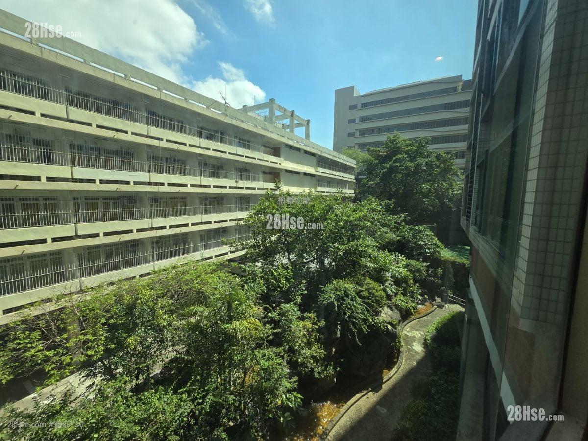King's Park Villa Rental 3 Bedrooms , 3 Bathrooms 1,136 ft²