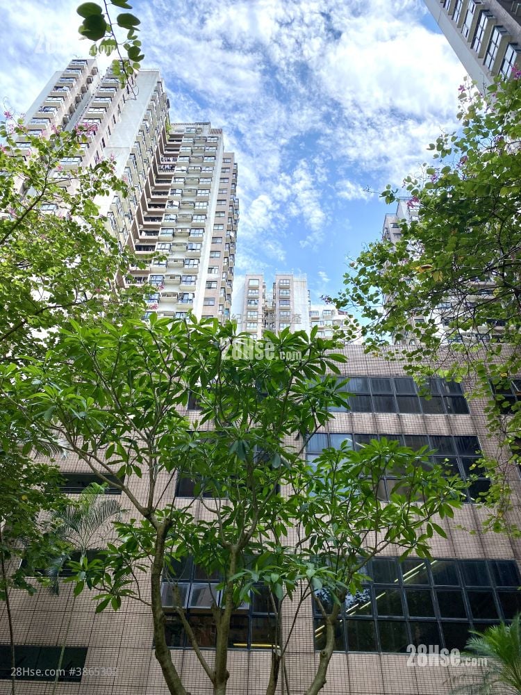 丹拿花園 售盤 3 房 , 2 浴室 658 平方呎