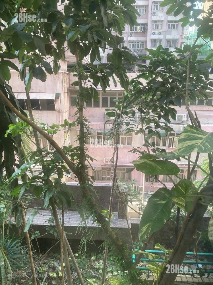 Wealthy Court Rental 2 Bedrooms , 1 Bathroom 427 ft²