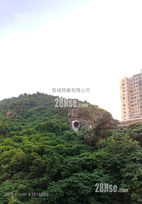 君豪峰 租盘 开放式间隔 , 1 浴室 214 平方尺