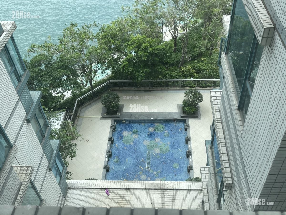 錦鯉風水池
