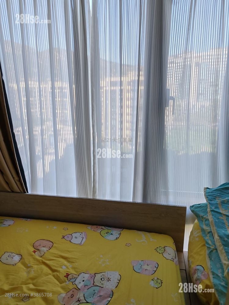 Ocean Camino Rental 1 Bedroom , 1 Bathroom 313 ft²