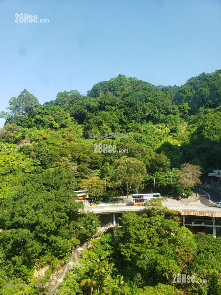 Lily Court Rental 2 Bedrooms , 1 Bathroom 357 ft²
