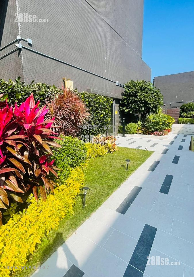Ceo Tower Rental Studio 500 ft²