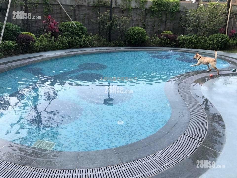 峻峦 售盘 2 房 , 1 浴室 497 平方尺