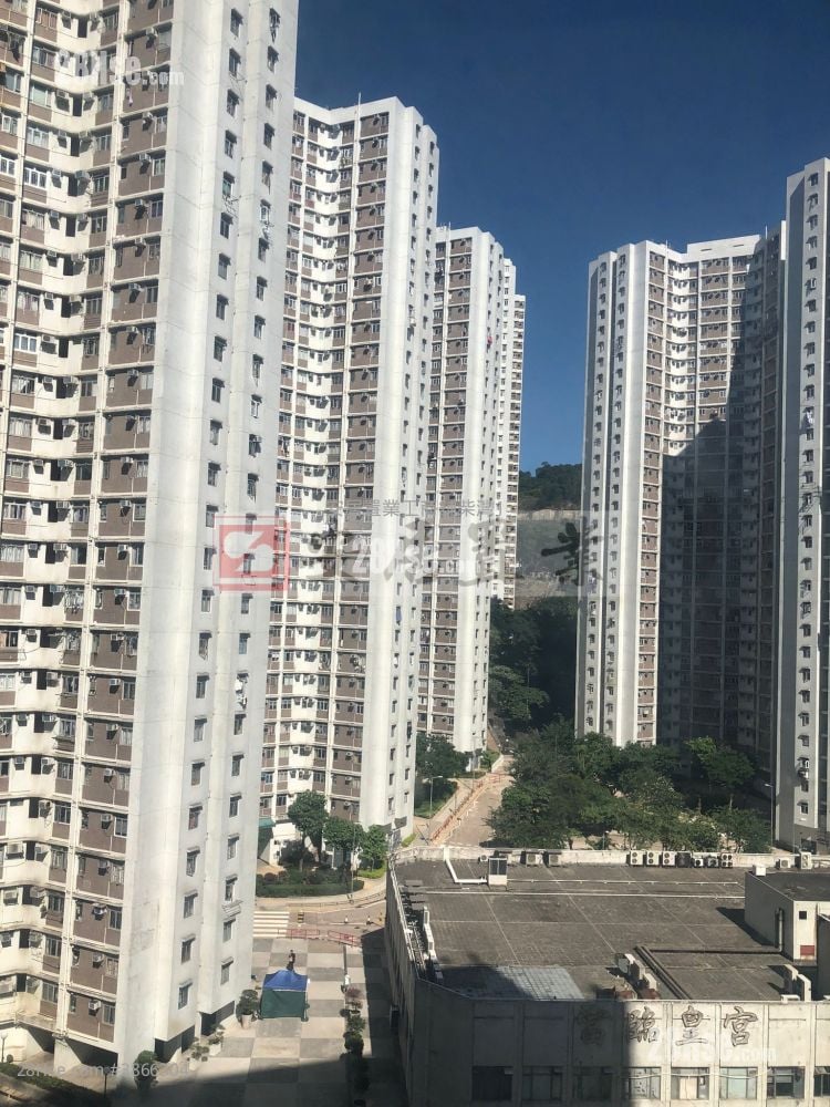 新力工業大廈 租盤