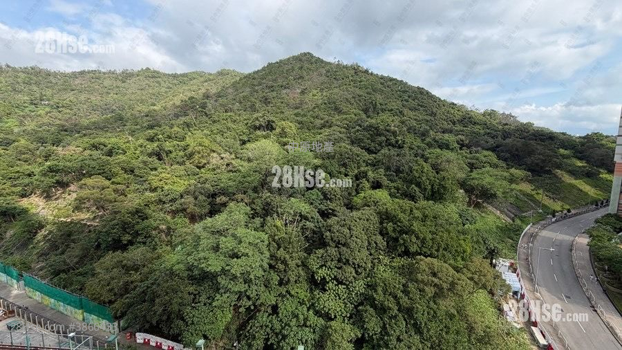Elegance Gardens Sell 2 Bedrooms 335 ft²