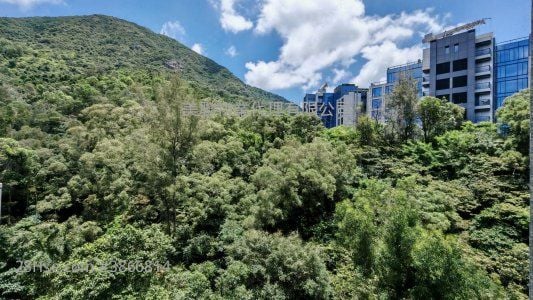 畢架山花園 售盤 3 房 , 2 浴室 845 平方呎