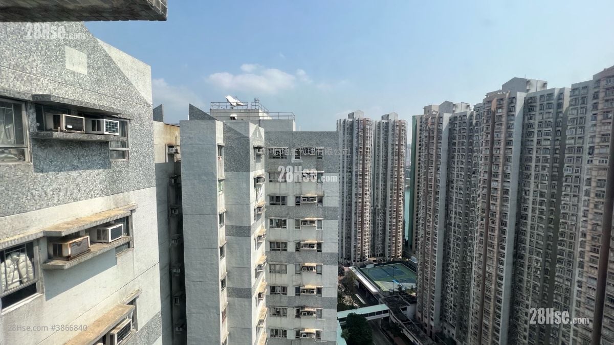 Serene Garden Sell 3 Bedrooms , 1 Bathroom 590 ft²