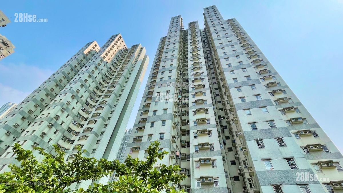 Serene Garden Sell 3 Bedrooms , 1 Bathroom 590 ft²