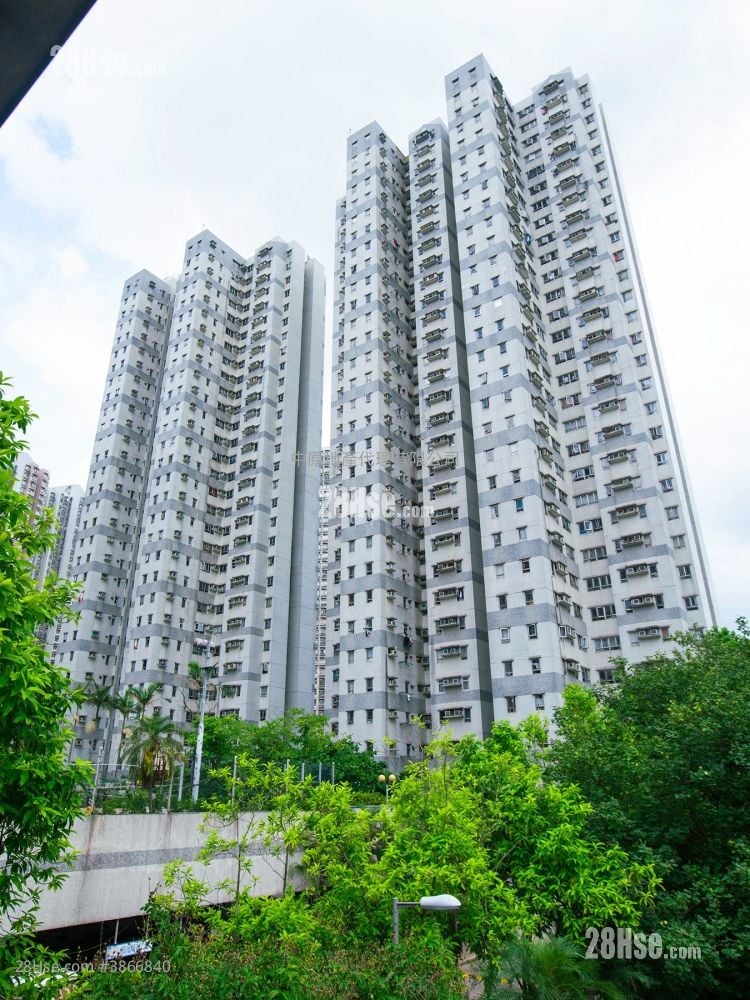 Serene Garden Sell 3 Bedrooms , 1 Bathroom 590 ft²