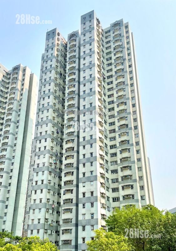海悦花园 售盘 3 房 , 1 浴室 590 平方尺