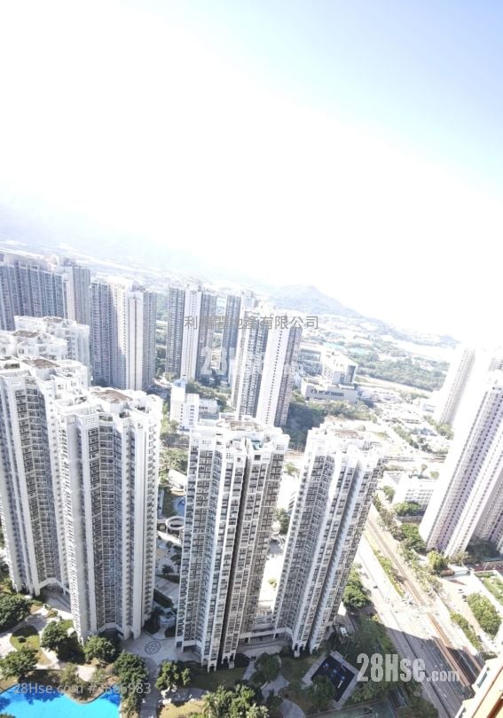 栢慧豪园 售盘 1 房 498 平方尺