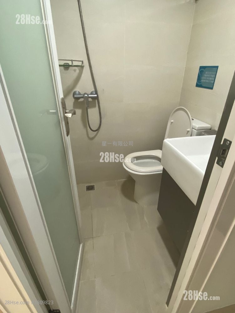Triumph Court Rental Studio , 1 Bathroom 150 ft²