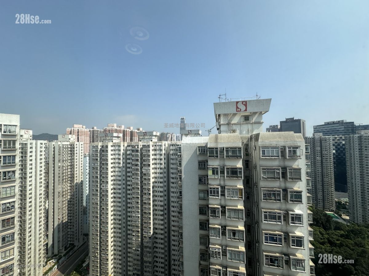 荃湾中心 租盘 1 房 307 平方尺