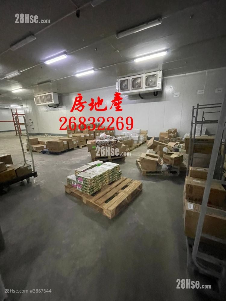 粉嶺工業村 租盤