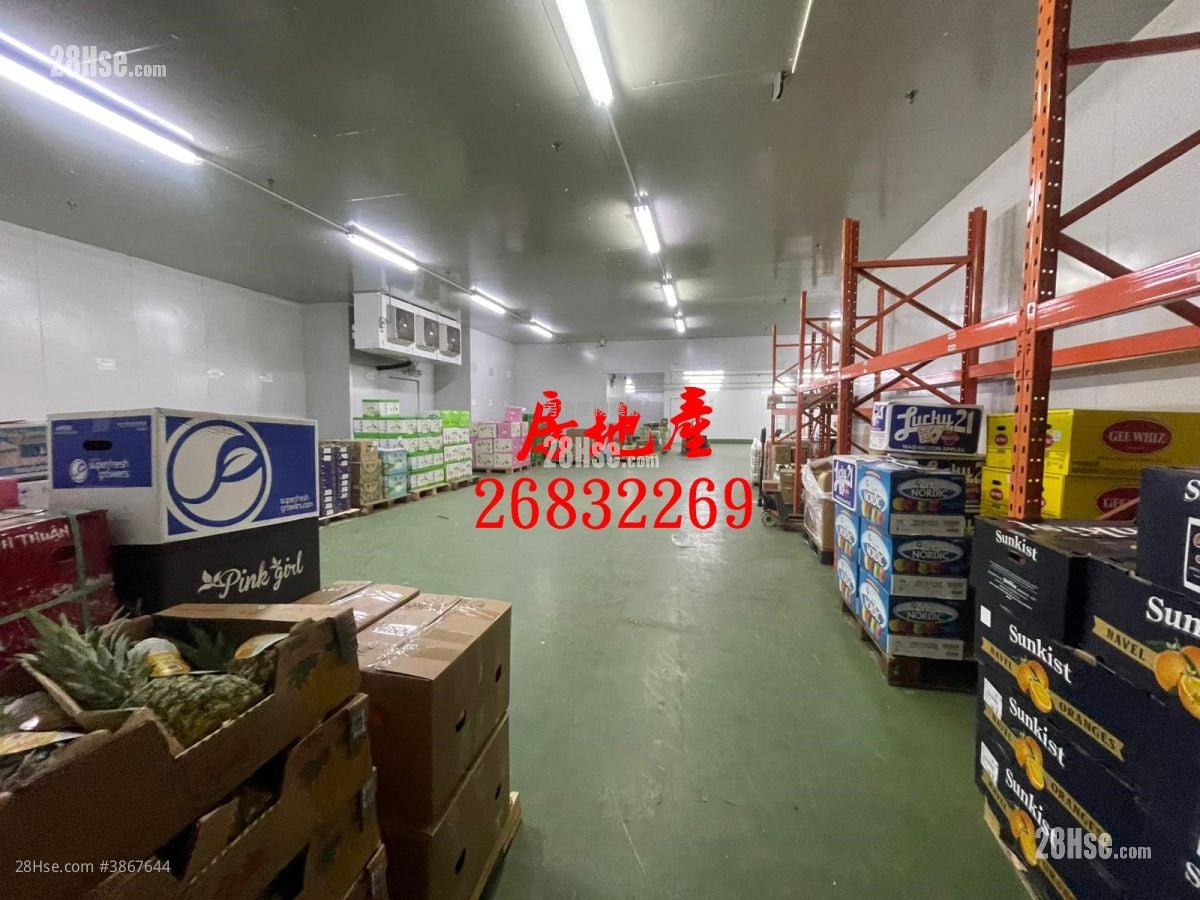 粉嶺工業村 租盤