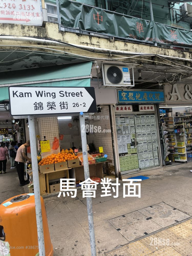 康强洋楼 售盘 767 平方尺