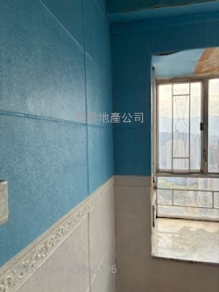 大埔中心 售盤 2 房 , 1 浴室 313 平方呎