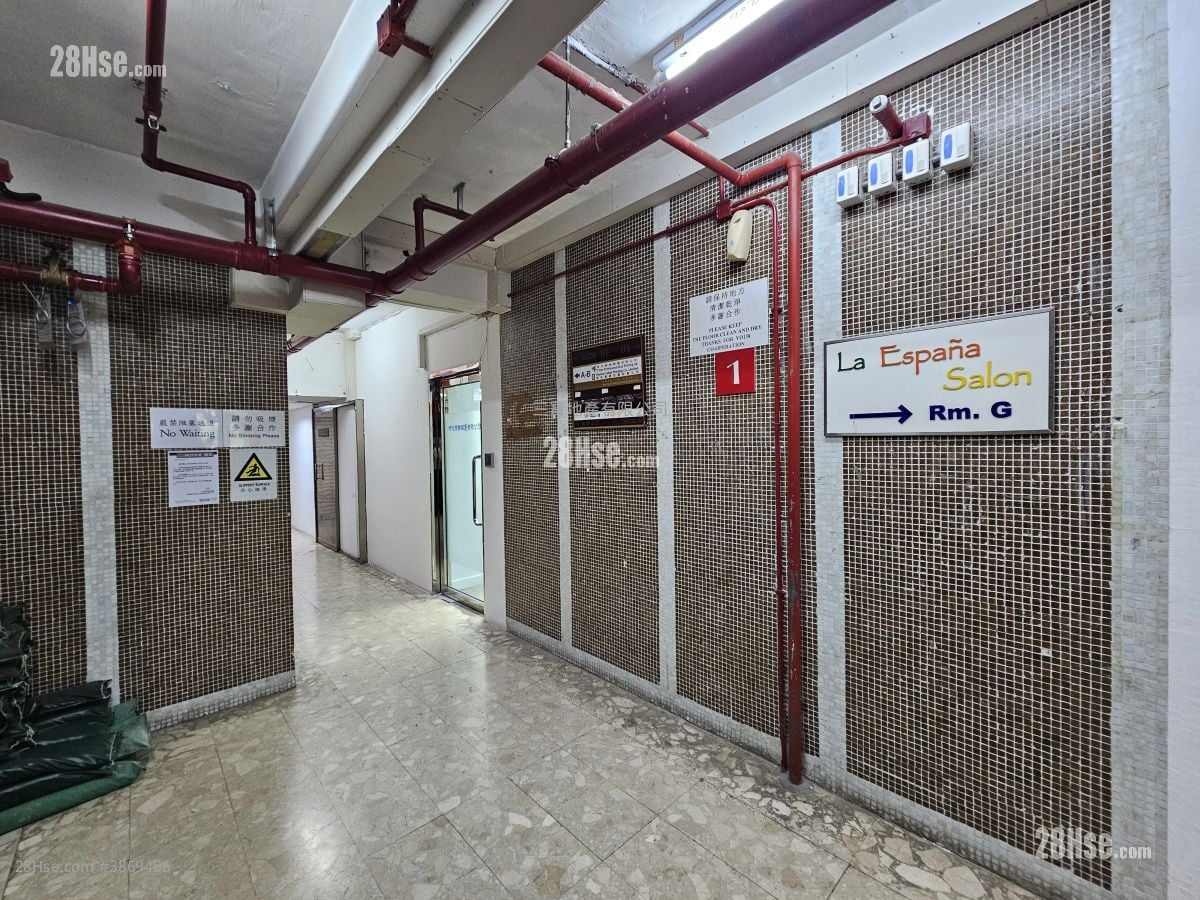 Luckifast Building Sell Studio