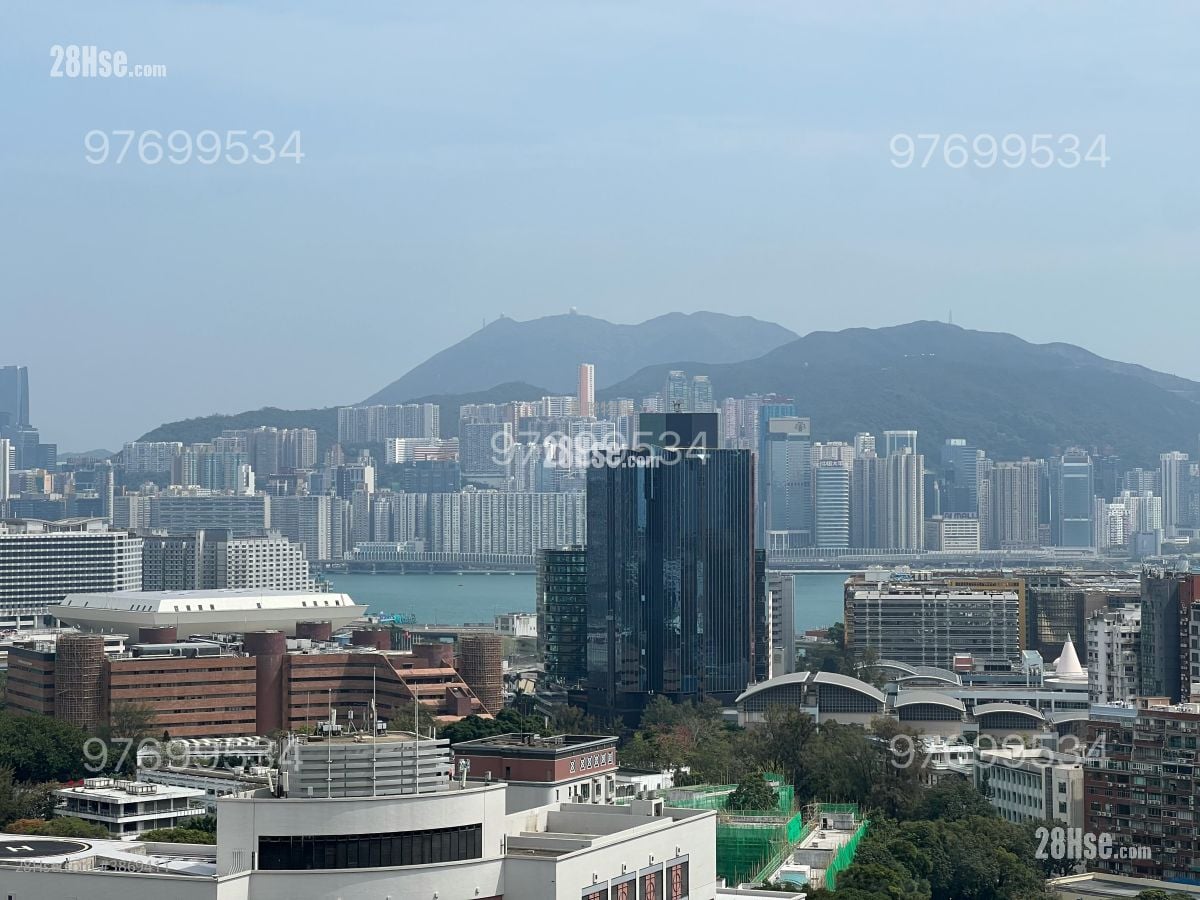 View: 維港煙花景