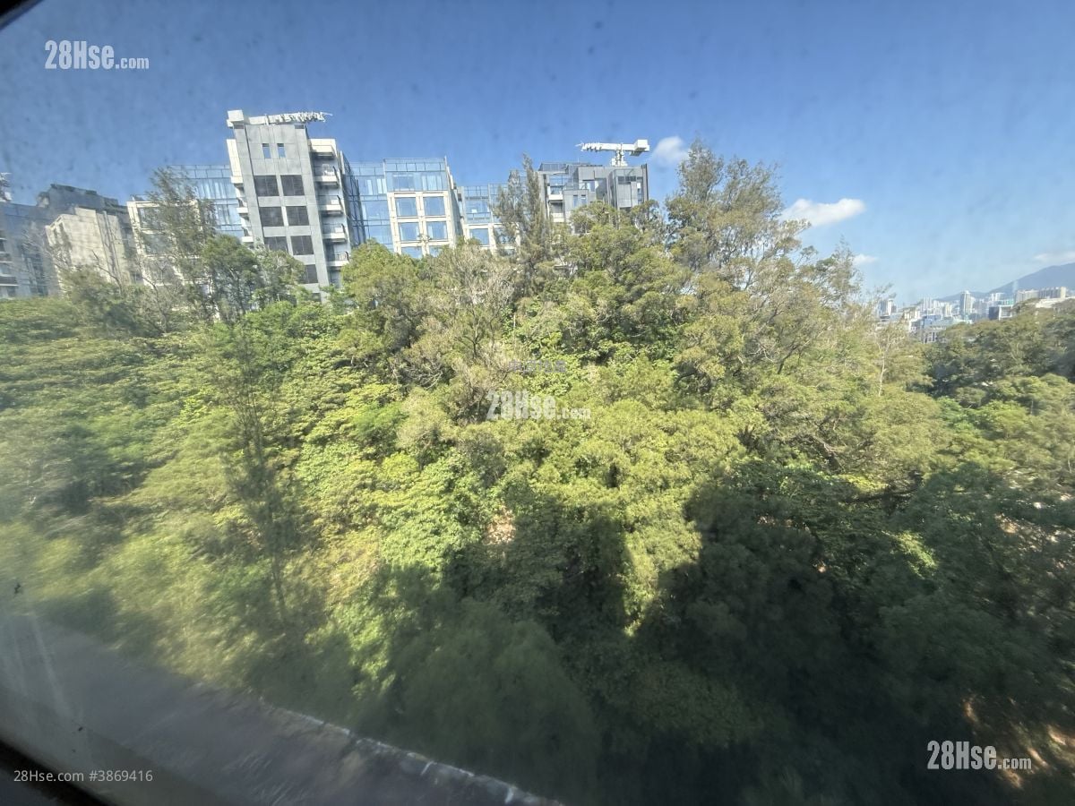 畢架山花園 售盤 3 房 845 平方呎