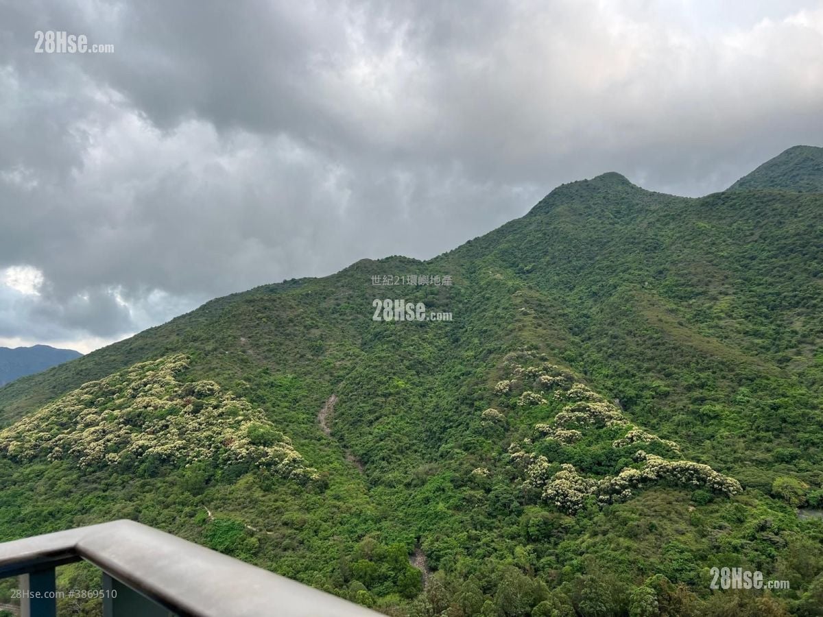 Caribbean Coast Rental 2 Bedrooms , 1 Bathroom 541 ft²