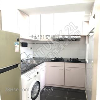 廚房: 新港城 租盤 2 房 , 1 浴室 490 平方呎