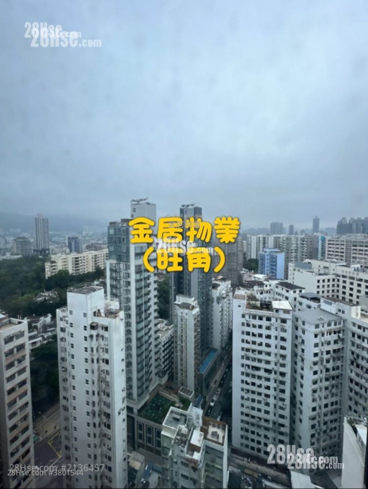 加多利轩 租盘 开放式间隔 , 1 浴室 181 平方尺