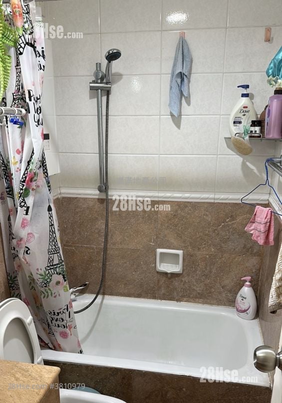 Able Building Sell 1 Bedroom , 1 Bathroom 324 ft²