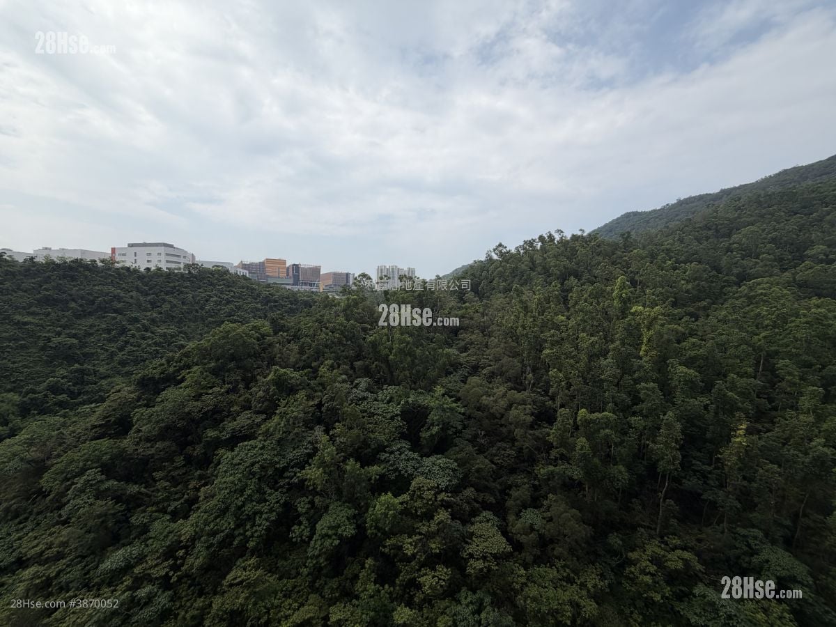 峻滢 售盘 2 房 , 1 浴室 498 平方尺
