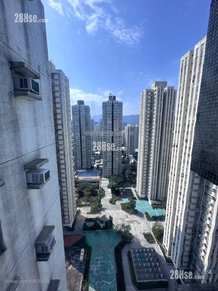 大埔中心 租盘 2 房 462 平方尺