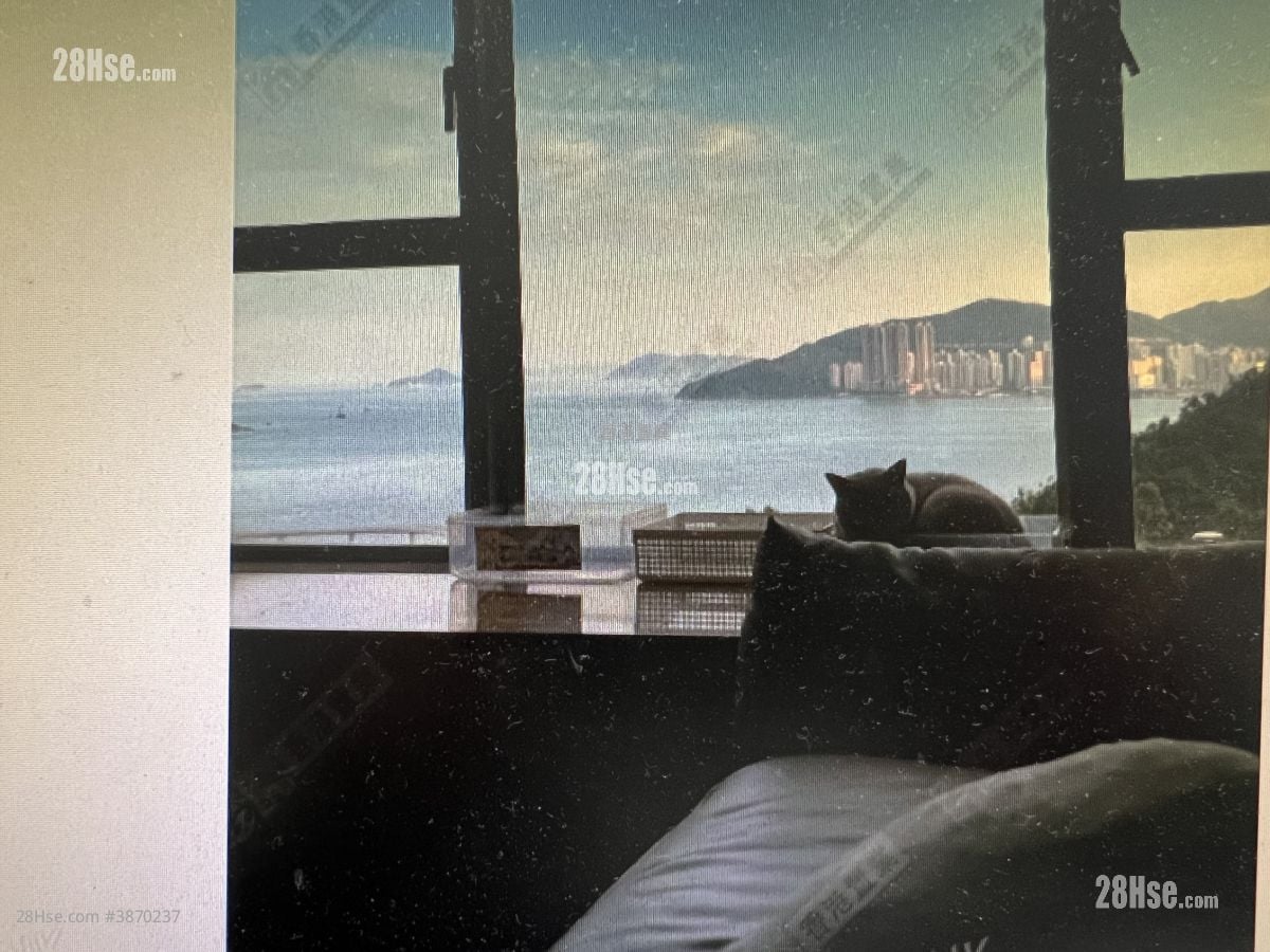 维景湾畔 售盘 2 房 , 1 浴室 498 平方尺