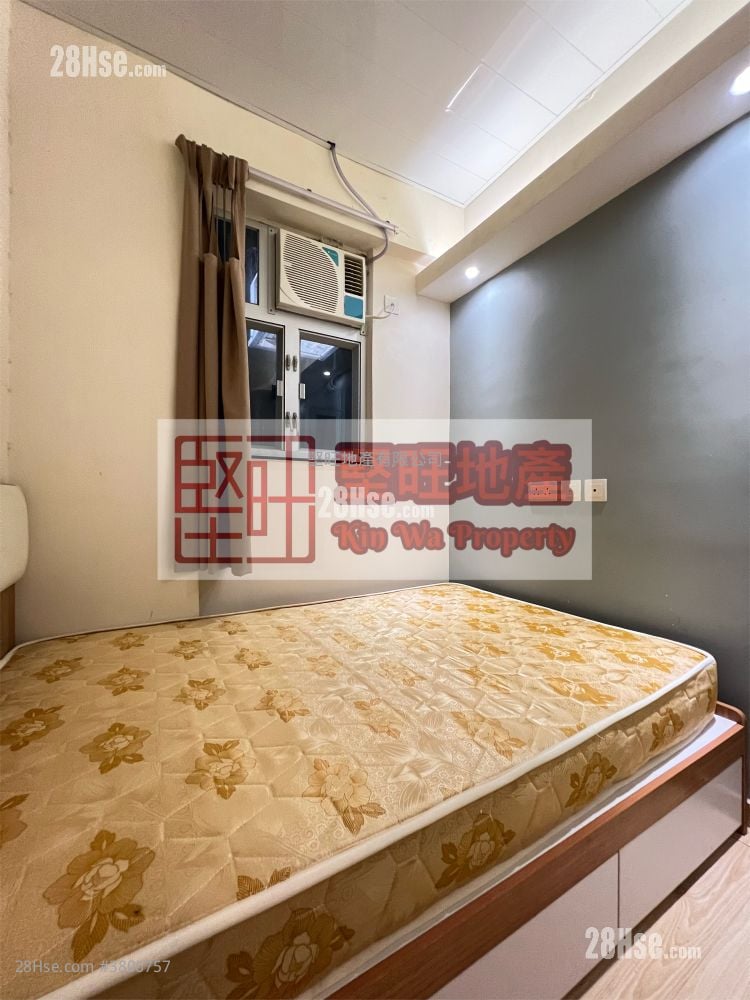 Apartment Rental Studio , 1 Bathroom 130 ft²