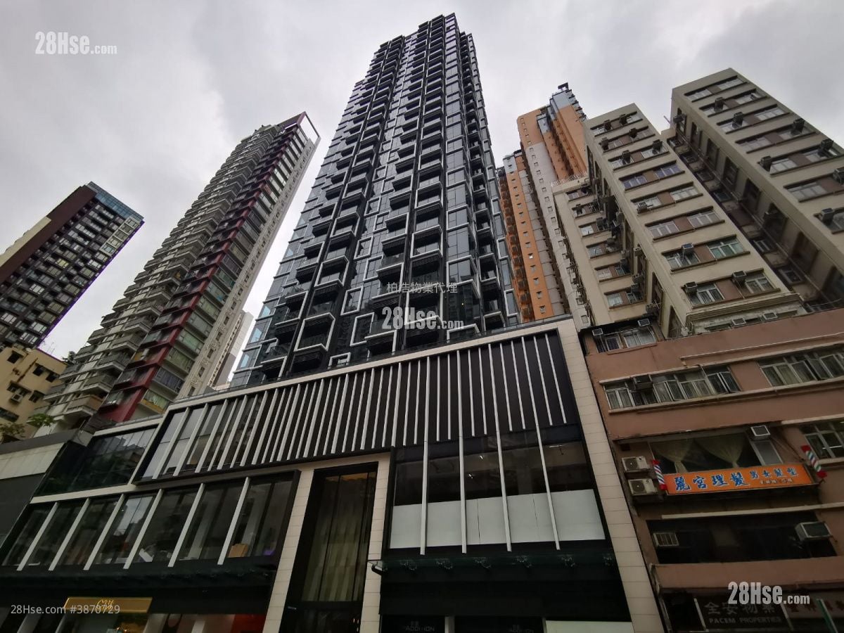 The Addition Rental 1 Bedroom , 1 Bathroom 269 ft²