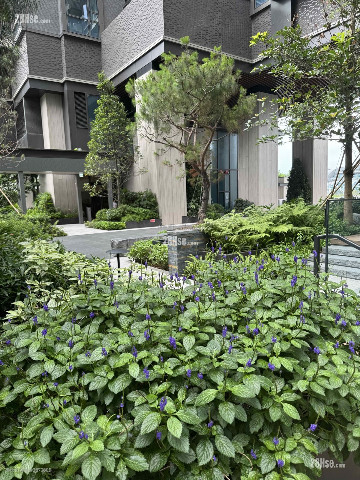 柏蔚森 租盘 2 房 , 1 浴室 387 平方尺
