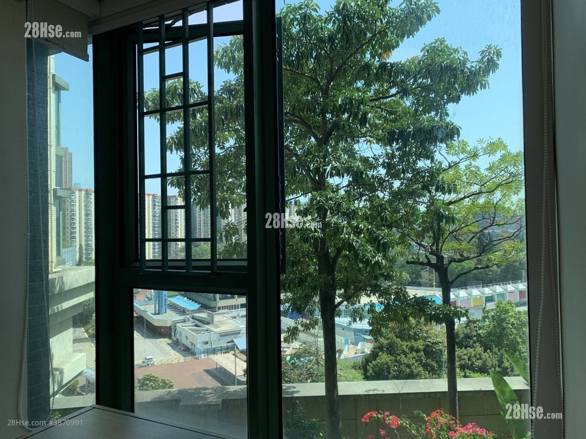 master room: Nob Hill Rental 2 Bedrooms , 1 Bathroom 455 ft²