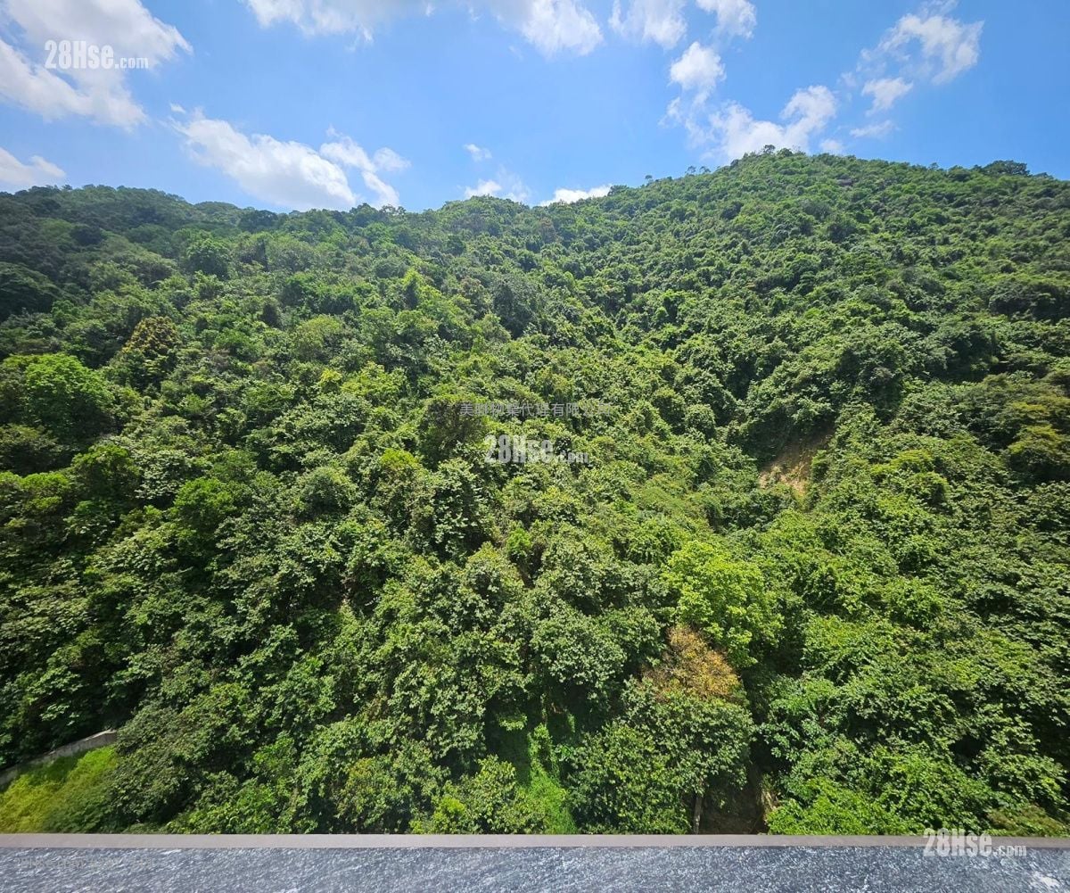 Beacon Peak Rental 768 ft²