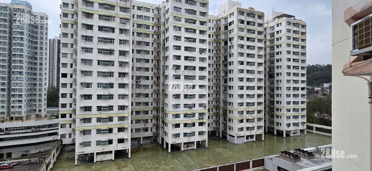 厅窗景观