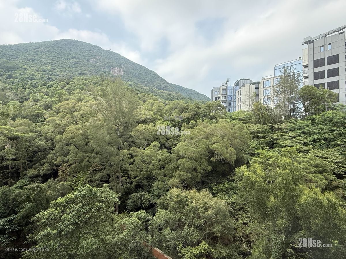 畢架山花園 售盤 3 房 , 2 浴室 845 平方呎
