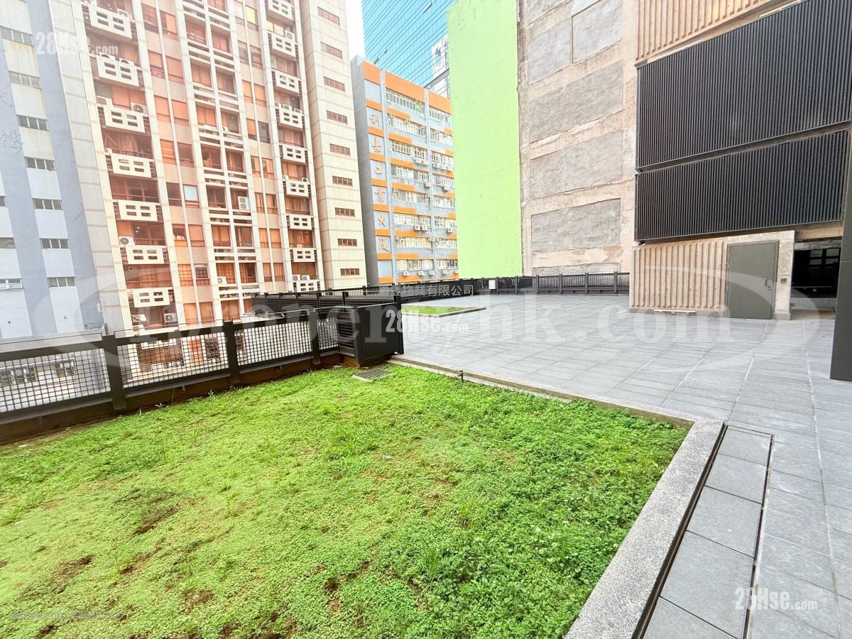The Burrow Rental