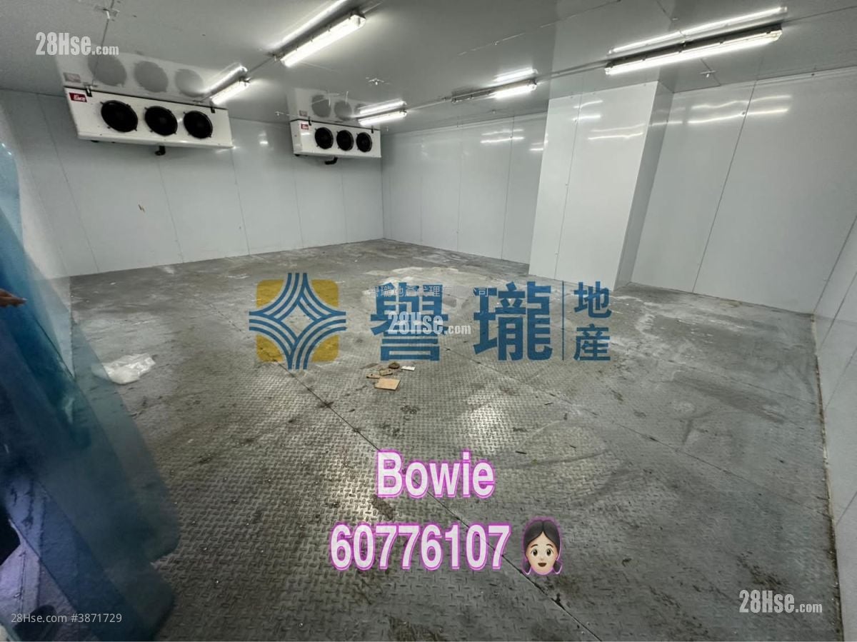 新豐中心 租盤