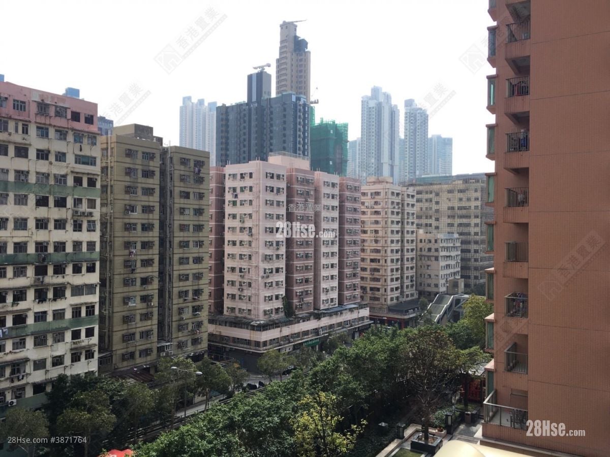 君汇港 租盘 2 房 , 1 浴室 478 平方尺