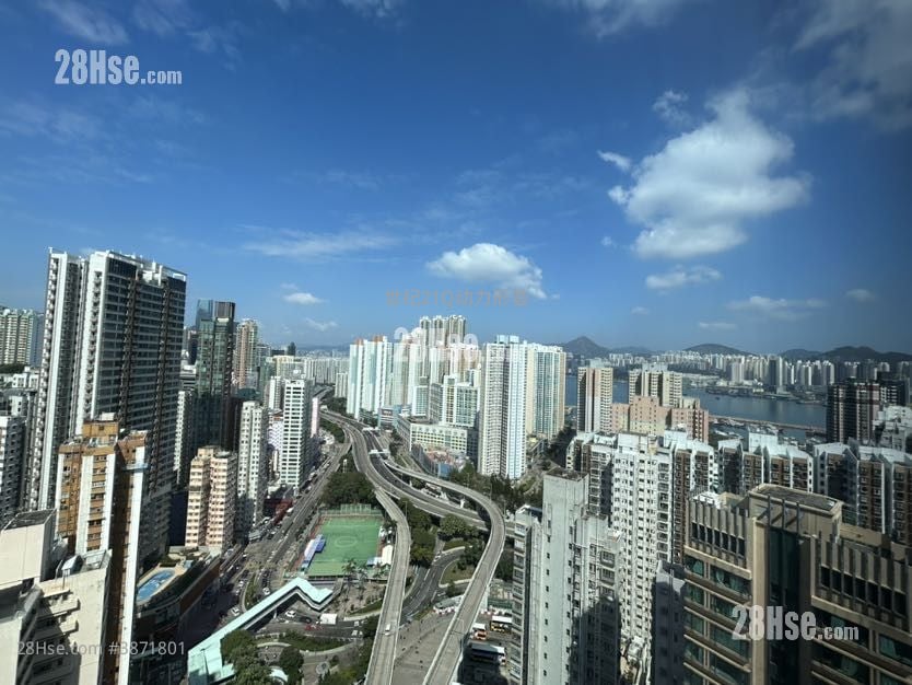 形荟 售盘 1 房 , 1 浴室 360 平方尺