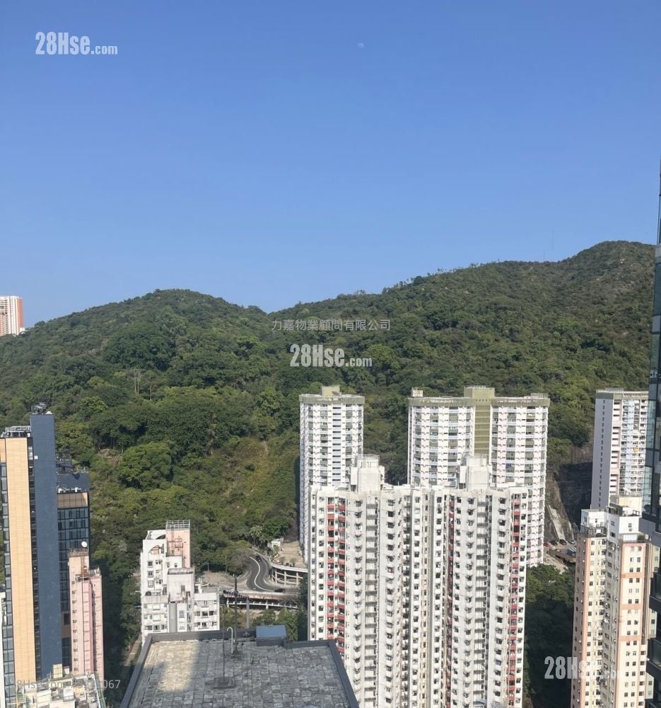 Jones Hive Sell 1 Bedroom , 1 Bathroom 333 ft²