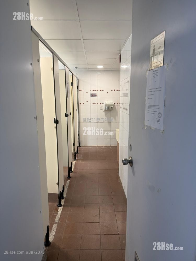 Eight Commercial Tower Rental