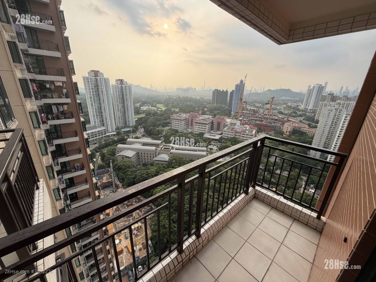 Royal Green Rental 372 ft²
