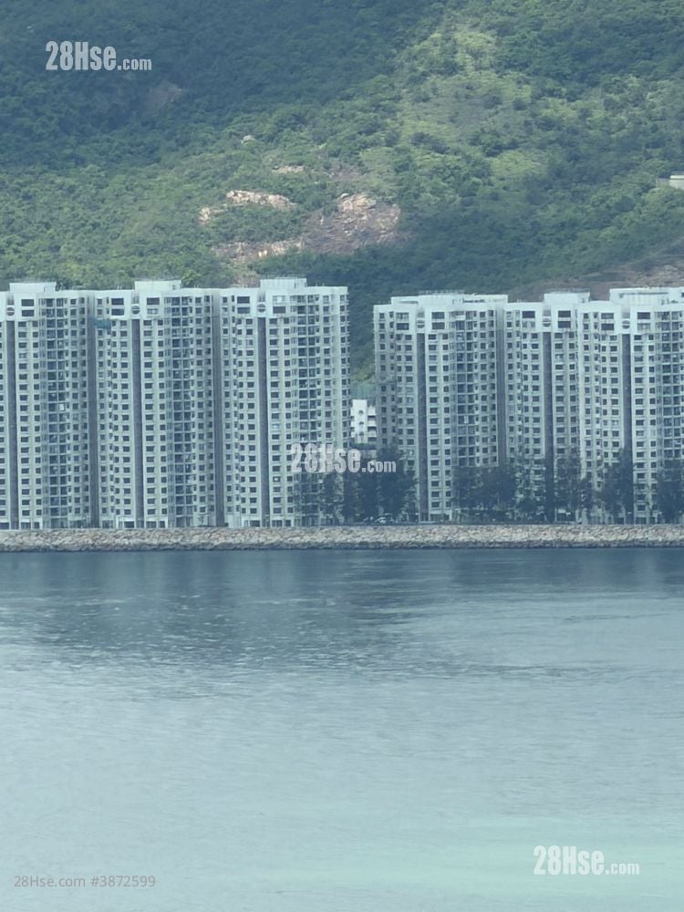 Lp6 Rental 2 Bedrooms , 1 Bathroom 522 ft²