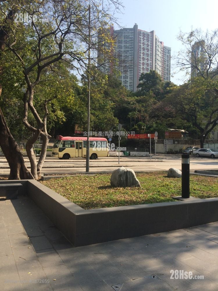 青山湾花园 租盘 开放式间隔 , 1 浴室 296 平方尺